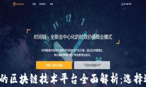 
2023年最具潜力的区块链技术平台全面解析：选择适合您的开发需求