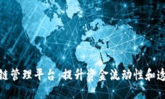 探索区块链资金链管理平台：提升资金