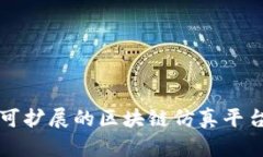 构建高效可扩展的区块链仿真平台设计