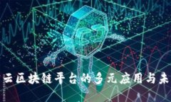 探索密云区块链平台的多元应用与未来