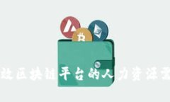 构建高效区块链平台的人力资源需求分