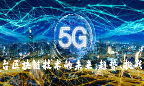 数字平台区块链技术的未来：趋势、挑战与机遇