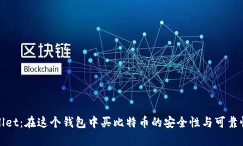 tpwallet：在这个钱包中买比特币的安全性与可靠性分析