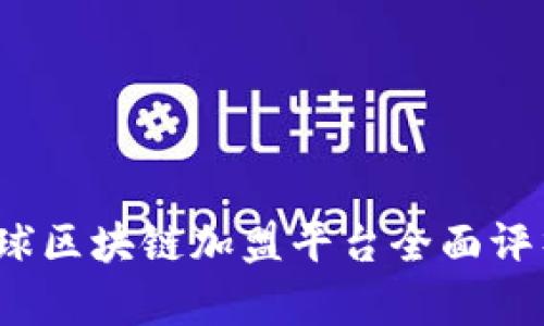 2023年全球区块链加盟平台全面评析与排行榜