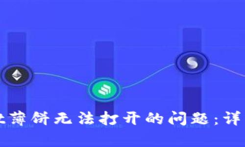 如何解决tpwallet薄饼无法打开的问题：详细指导与故障排除