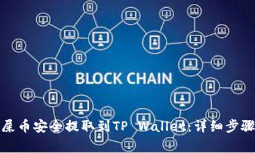 如何将抹茶屎币安全提取到TP Wallet：详细步骤与注意事项