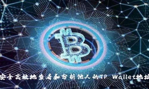 如何安全高效地查看和分析他人的TP Wallet地址信息