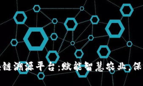 北大荒区块链溯源平台：赋能智慧农业，保障食品安全