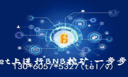 如何在TP Wallet上进行BNB挖矿：一步步指南和技巧分析