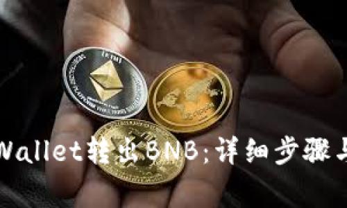 如何从TPWallet转出BNB：详细步骤与注意事项
