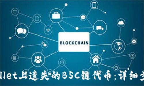   
如何成功找回tpwallet上遗失的BSC链代币：详细步骤与常见问题解答