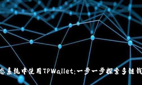 在Avalanche生态系统中使用TPWallet：一步一步探索多链钱包的功能与优势