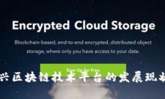 解析中国新兴区块链技术平台的发展现