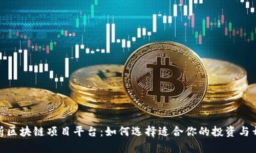 全面解析区块链项目平台：如何选择适合你的投资与开发环境