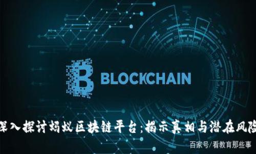 深入探讨蚂蚁区块链平台：揭示真相与潜在风险