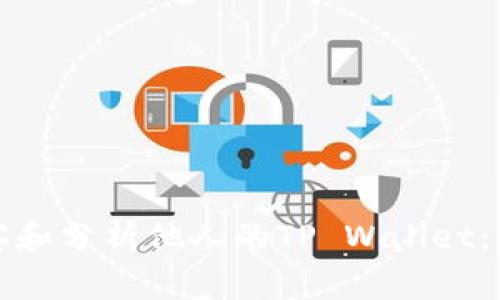 如何安全高效地观察和分析他人的TP Wallet：实用技巧和常见误区