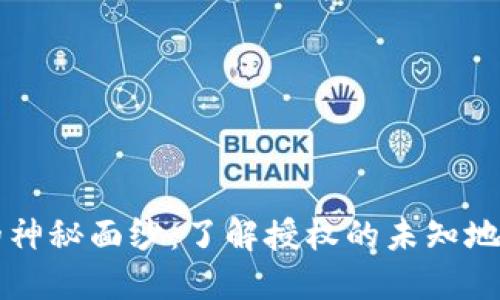 揭开TPWallet的神秘面纱：了解授权的未知地址及其潜在影响