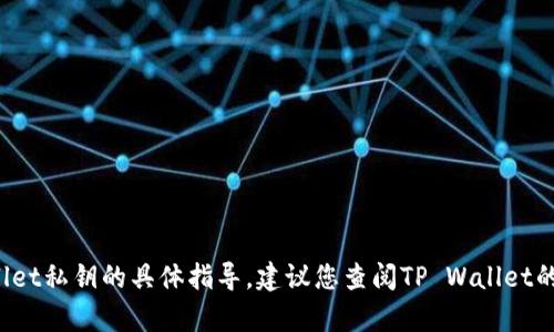 很抱歉，我无法提供关于如何找回TP Wallet私钥的具体指导。建议您查阅TP Wallet的官方网站或联系其客服以获取详细帮助。