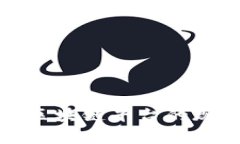 探索赣县企业区块链平台的现状与发展