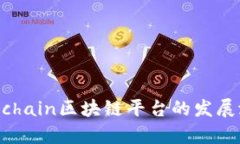深入探讨Hyperchain区块链平台的发展潜