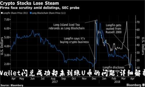 如何解决TPWallet闪兑成功却未到账U币的问题：详细解析与解决方案