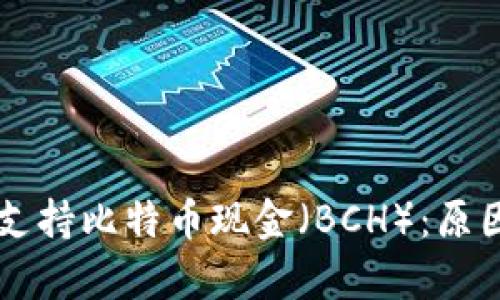 TPWallet为何未支持比特币现金（BCH）：原因分析与解决方案
