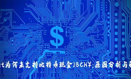 TPWallet为何未支持比特币现金（BCH）：原因分析与解决方案