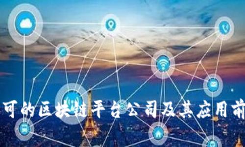 中国国家认可的区块链平台公司及其应用前景全面分析