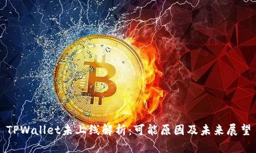TPWallet未上线解析：可能原因及未来展望
