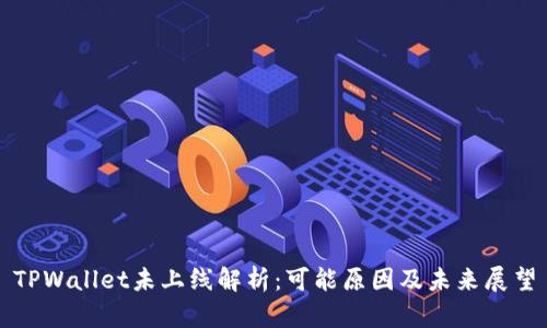 TPWallet未上线解析：可能原因及未来展望