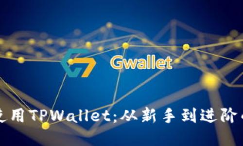 如何高效使用TPWallet：从新手到进阶的全面指南