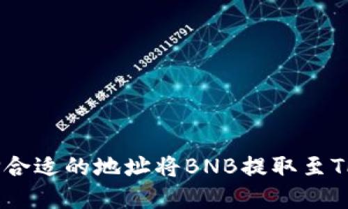 如何选择合适的地址将BNB提取至TPWallet？