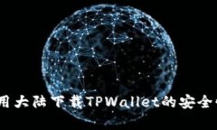深入解析：使用大陆下载TPWallet的安全