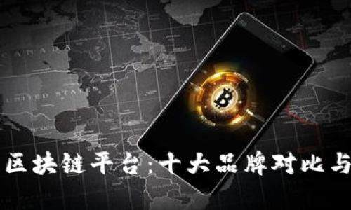 深度解析区块链平台：十大品牌对比与选择指南