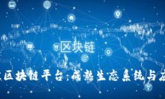 2023年最佳区块链平台：成熟生态系统