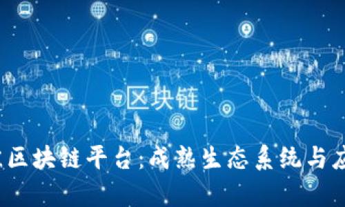 2023年最佳区块链平台：成熟生态系统与应用实例解析