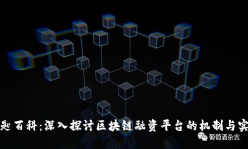 金匙百科：深入探讨区块链融资平台的机制与实践