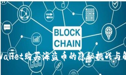 使用TPWallet购买海盗币的隐秘挑战与解决方案