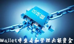 如何在TPWallet中查看和管理大额资金：