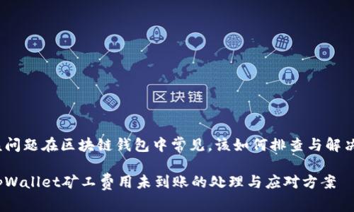 该问题在区块链钱包中常见，该如何排查与解决？

tpWallet矿工费用未到账的处理与应对方案