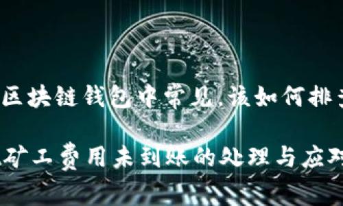 该问题在区块链钱包中常见，该如何排查与解决？

tpWallet矿工费用未到账的处理与应对方案