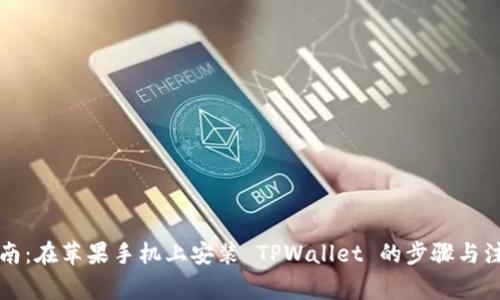 详细指南：在苹果手机上安装 TPWallet 的步骤与注意事项