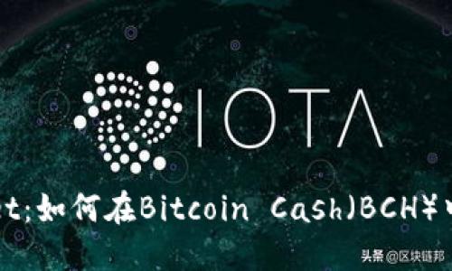 深入探索TPWallet：如何在Bitcoin Cash（BCH）中的完美使用体验
