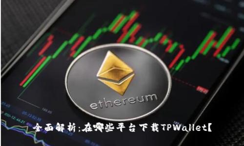 全面解析：在哪些平台下载TPWallet？
