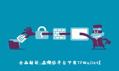 全面解析：在哪些平台下载TPWallet？