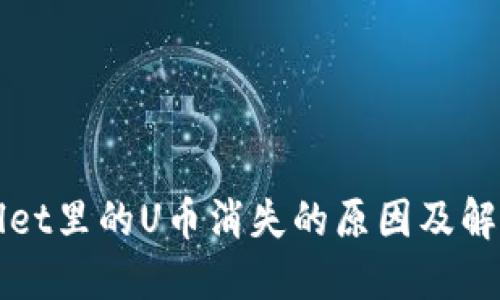 TPWallet里的U币消失的原因及解决方案