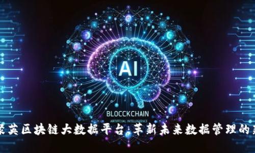云汇聚英区块链大数据平台：革新未来数据管理的新时代