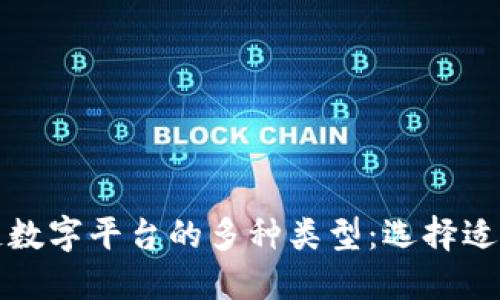 深入探讨区块链数字平台的多种类型：选择适合您的最佳方案