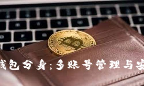 TokenPocket钱包分身：多账号管理与安全性全面解析