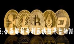 Title:创新引领：全面解析专利区块链平